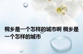桐乡是一个怎样的城市啊 桐乡是一个怎样的城市