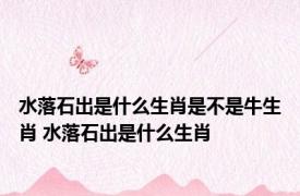 水落石出是什么生肖是不是牛生肖 水落石出是什么生肖