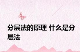 分层法的原理 什么是分层法