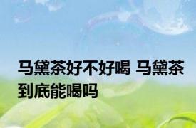 马黛茶好不好喝 马黛茶到底能喝吗