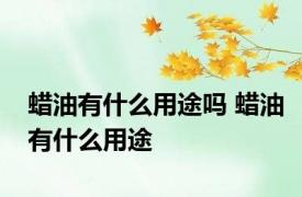 蜡油有什么用途吗 蜡油有什么用途