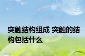 突触结构组成 突触的结构包括什么