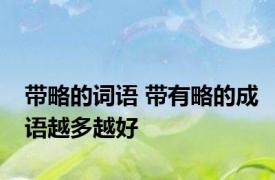 带略的词语 带有略的成语越多越好