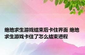 绝地求生游戏结束后卡住界面 绝地求生游戏卡住了怎么结束进程