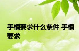 手模要求什么条件 手模要求 