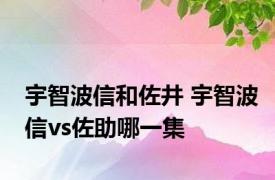 宇智波信和佐井 宇智波信vs佐助哪一集