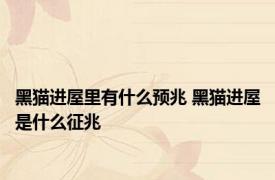 黑猫进屋里有什么预兆 黑猫进屋是什么征兆