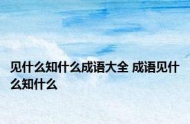 见什么知什么成语大全 成语见什么知什么