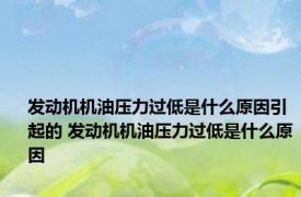 发动机机油压力过低是什么原因引起的 发动机机油压力过低是什么原因
