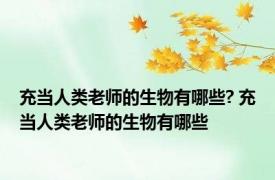 充当人类老师的生物有哪些? 充当人类老师的生物有哪些