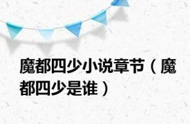 魔都四少小说章节（魔都四少是谁）