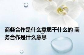 商务合作是什么意思干什么的 商务合作是什么意思