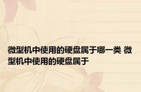 微型机中使用的硬盘属于哪一类 微型机中使用的硬盘属于