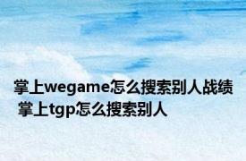 掌上wegame怎么搜索别人战绩 掌上tgp怎么搜索别人