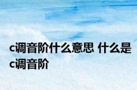 c调音阶什么意思 什么是c调音阶