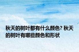 秋天的树叶都有什么颜色? 秋天的树叶有哪些颜色和形状