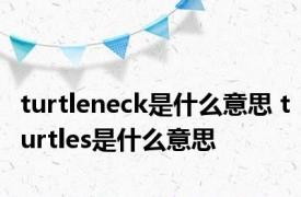 turtleneck是什么意思 turtles是什么意思