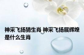 神采飞扬猜生肖 神采飞扬展辉煌是什么生肖