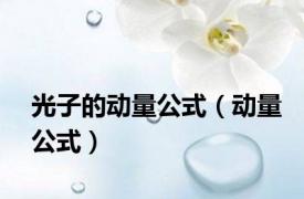光子的动量公式（动量公式）