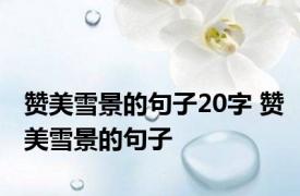 赞美雪景的句子20字 赞美雪景的句子