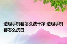 透明手机套怎么洗干净 透明手机套怎么洗白