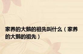 家养的大鹅的祖先叫什么（家养的大鹅的祖先）