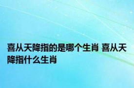 喜从天降指的是哪个生肖 喜从天降指什么生肖