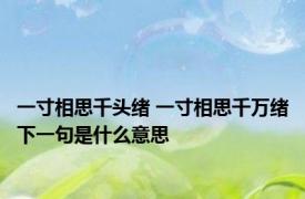 一寸相思千头绪 一寸相思千万绪下一句是什么意思