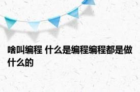 啥叫编程 什么是编程编程都是做什么的