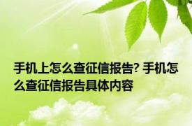 手机上怎么查征信报告? 手机怎么查征信报告具体内容