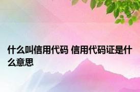 什么叫信用代码 信用代码证是什么意思