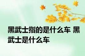 黑武士指的是什么车 黑武士是什么车