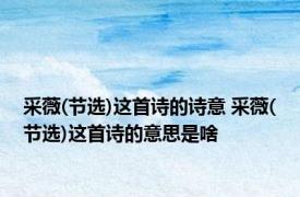 采薇(节选)这首诗的诗意 采薇(节选)这首诗的意思是啥