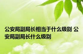 公安局副局长相当于什么级别 公安局副局长什么级别
