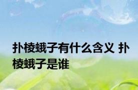 扑棱蛾子有什么含义 扑棱蛾子是谁