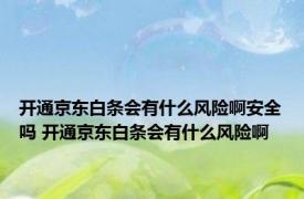 开通京东白条会有什么风险啊安全吗 开通京东白条会有什么风险啊
