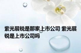 紫光展锐是那家上市公司 紫光展锐是上市公司吗