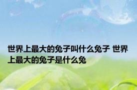 世界上最大的兔子叫什么兔子 世界上最大的兔子是什么兔