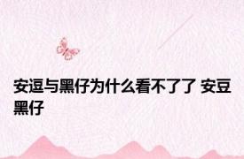 安逗与黑仔为什么看不了了 安豆黑仔 