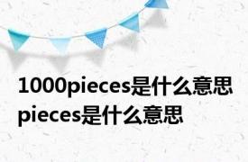 1000pieces是什么意思 pieces是什么意思 