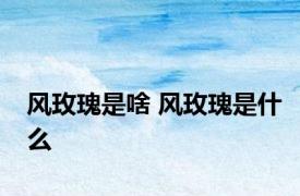风玫瑰是啥 风玫瑰是什么