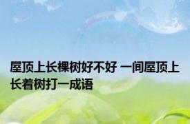屋顶上长棵树好不好 一间屋顶上长着树打一成语
