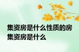 集资房是什么性质的房 集资房是什么