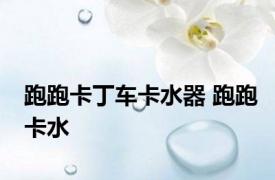 跑跑卡丁车卡水器 跑跑卡水 