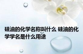 硅油的化学名称叫什么 硅油的化学学名是什么用途