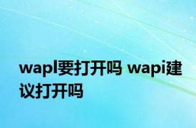 wapl要打开吗 wapi建议打开吗