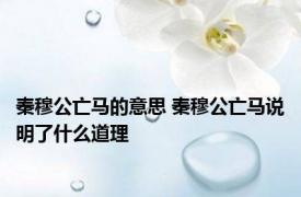 秦穆公亡马的意思 秦穆公亡马说明了什么道理