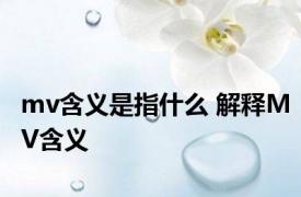 mv含义是指什么 解释MV含义