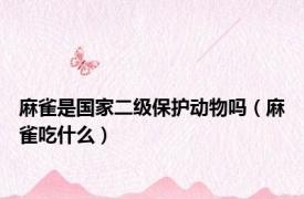 麻雀是国家二级保护动物吗（麻雀吃什么）