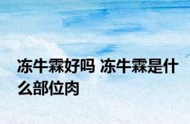 冻牛霖好吗 冻牛霖是什么部位肉